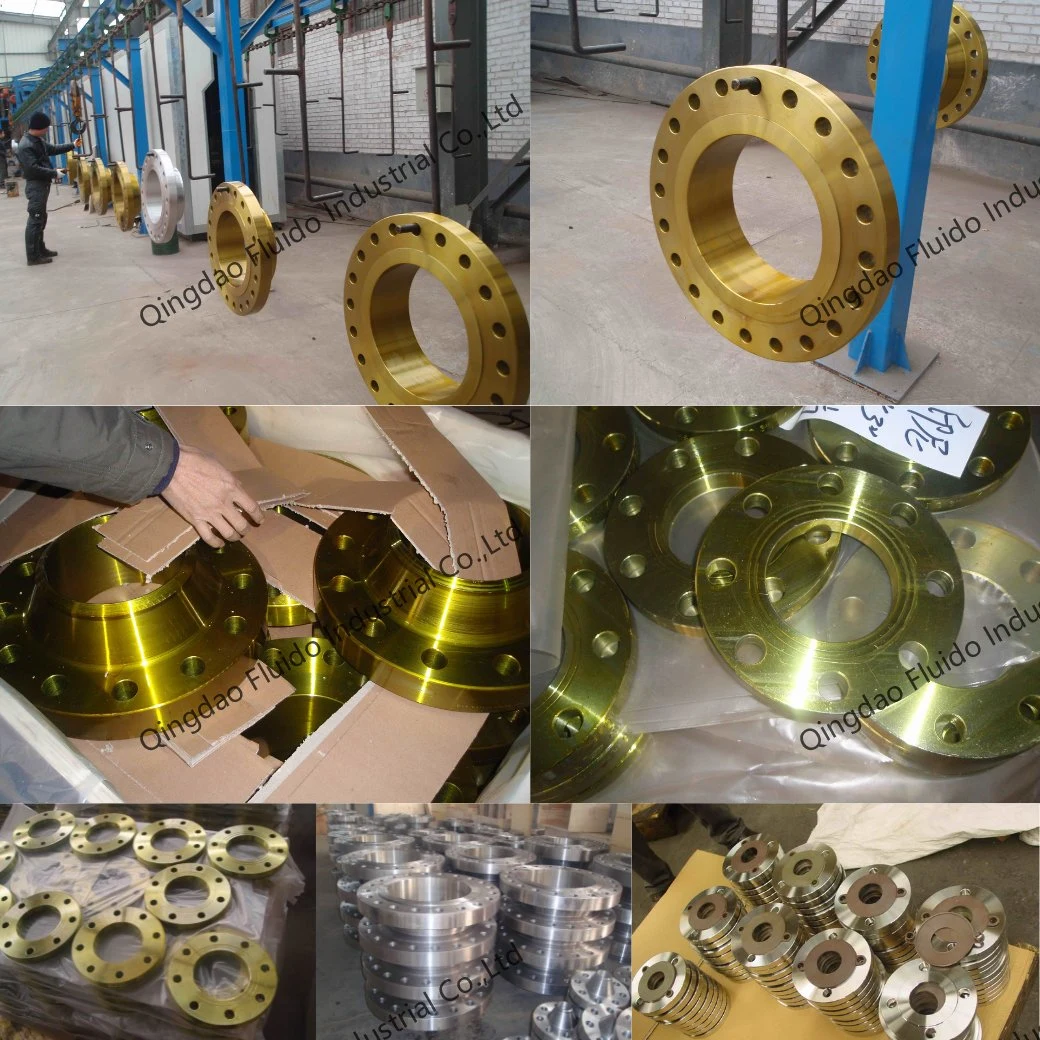 Big Size Forged Stainless Steel Wn Welding Neck Flanges
