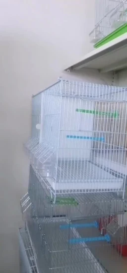 Wire Mesh Bird Cage for India